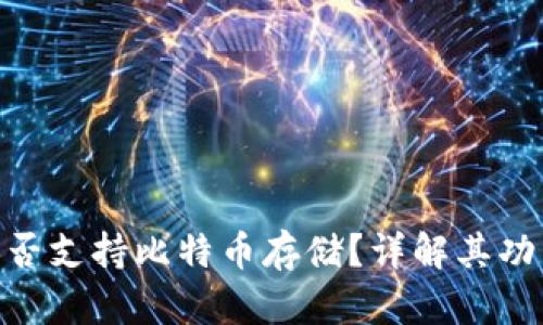 MetaMask是否支持比特币存储？详解其功能和替代方案