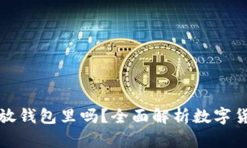 虚拟币必须要放钱包里吗？全面解析数字货币安全与存储