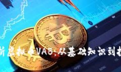 全面解析虚拟币VAB：从基
