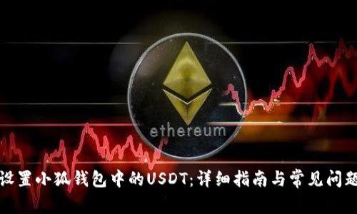 如何设置小狐钱包中的USDT：详细指南与常见问题解答
