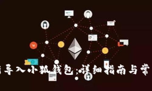   如何重新导入小狐钱包：详细指南与常见问题解答