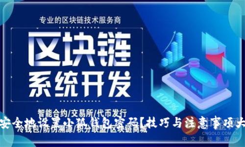 如何安全地设置小狐钱包密码？技巧与注意事项大揭秘