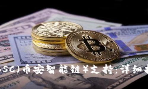 小狐钱包如何增加BSC（币安智能链）支持：详细指南与常见问题解答