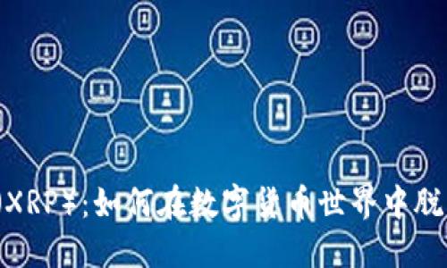 瑞波币（XRP）：如何在数字货币世界中脱颖而出？
