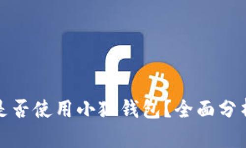 外国人是否使用小狐钱包？全面分析与探讨