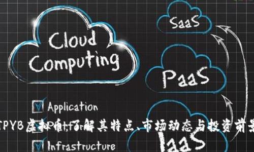 TPYB虚拟币：了解其特点、市场动态与投资前景