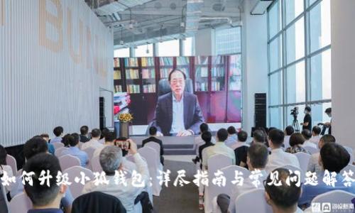 如何升级小狐钱包：详尽指南与常见问题解答