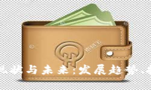 深入解析虚拟币的现状与未来：发展趋势、投资风险与市场动态