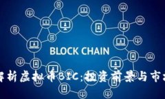 深入解析虚拟币BIC：投资前景与市场动态
