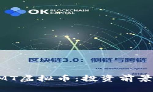 全面解析ZMT虚拟币：投资前景与市场动态