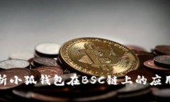 全面解析小狐钱包在BSC链上的应用与优势