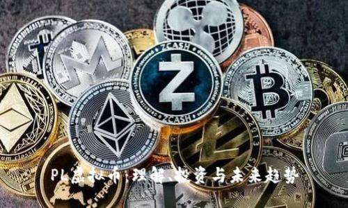 PL虚拟币：理解、投资与未来趋势