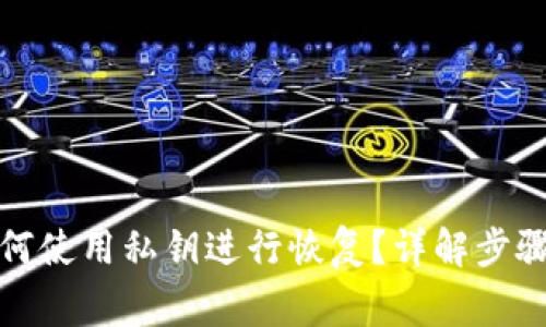小狐钱包如何使用私钥进行恢复？详解步骤与注意事项