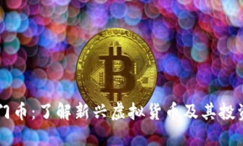 所罗门币：了解新兴虚拟货币及其投资潜力