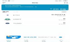 如何在MetaMask中设置网络：详细步骤与常见问题解