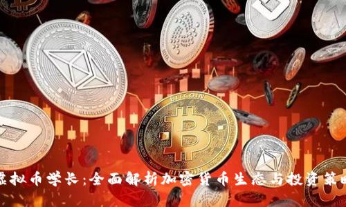 虚拟币学长：全面解析加密货币生态与投资策略