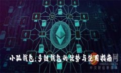 小狐钱包：多链钱包的优势与使用指南