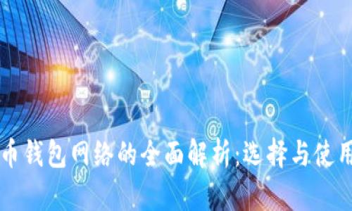 虚拟币钱包网络的全面解析：选择与使用指南