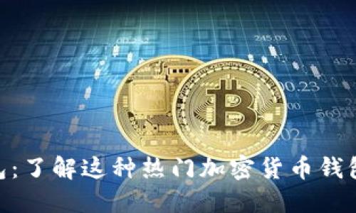 MetaMask钱包：了解这种热门加密货币钱包的类型及功能