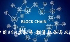 深度分析VGH虚拟币：投资机会与风险评估