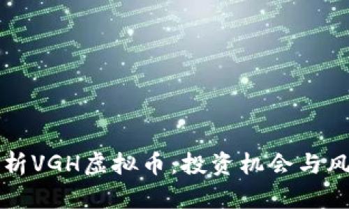 深度分析VGH虚拟币：投资机会与风险评估