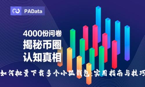 如何批量下载多个小狐钱包：实用指南与技巧