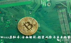 Woxz虚拟币：全面解析、投资风险与未来趋势