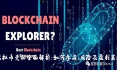 虚拟币竞标全面解析：如何参与、风险及盈利策