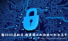 深入了解SDGB虚拟币：投资前必知的核心知识与市