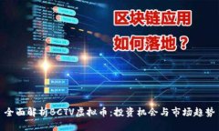 全面解析BCTV虚拟币：投资机会与市场趋势