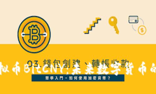 深入了解虚拟币BitCNY：未来数字货币的潜力与挑战