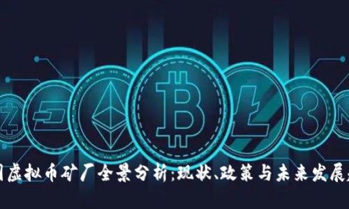 中国虚拟币矿厂全景分析：现状、政策与未来发展趋势