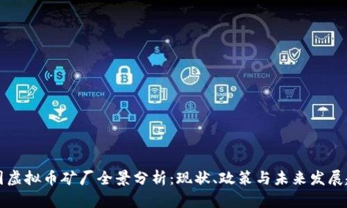 中国虚拟币矿厂全景分析：现状、政策与未来发展趋势