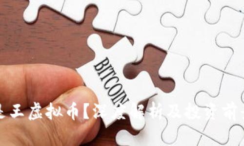 什么是王虚拟币？深度解析及投资前景分析