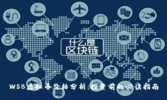 WSB虚拟币价格分析：投资前的必读指南