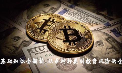 虚拟币基础知识全解析：从币种种类到投资风险的全面指南