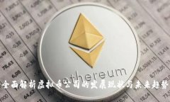 全面解析虚拟币公司的发展现状与未来趋势