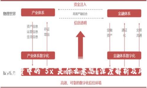 : 虚拟币投资中的“5x”是什么意思？深度解析及风险分析