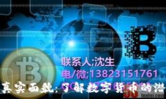  虚拟币的真实面貌：了解数字货币的潜力与风险
