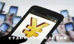 菠萝虚拟币：全方位解析与投资指南