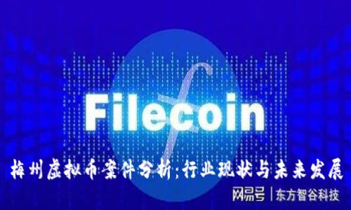 梅州虚拟币案件分析：行业现状与未来发展