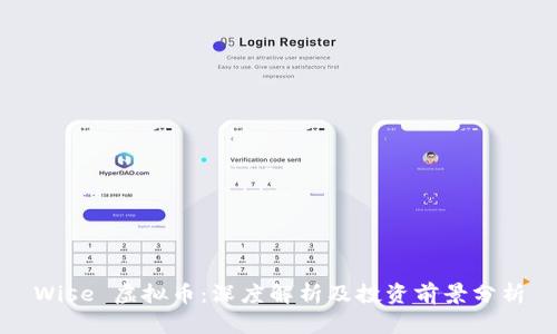 Wise 虚拟币：深度解析及投资前景分析