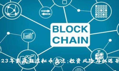 2023年最疯狂虚拟币盘点：投资风险与机遇并存