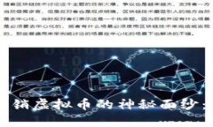揭开电子传销虚拟币的神秘面纱：风险与对策