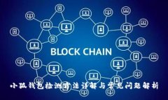 小狐钱包检测方法详解与常见问题解析