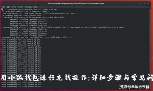 如何使用小狐钱包进行充钱操作：详细步骤与常见问题解答