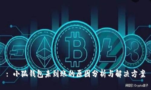 : 小狐钱包未到账的原因分析与解决方案