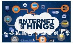 如何重新进入小狐钱包：步骤解析与常见问题解